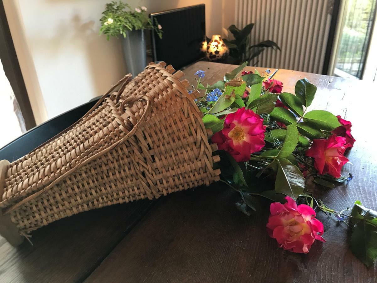 Apartament Il Gerlo Lezzeno Zewnętrze zdjęcie